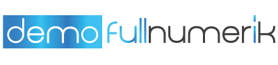 Demo Fullnumerik